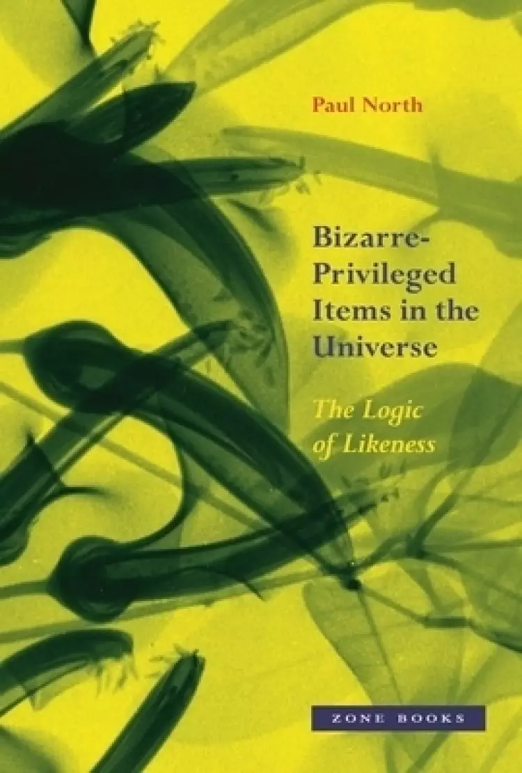 Bizarre–Privileged Items in the Universe – The Logic of Likeness