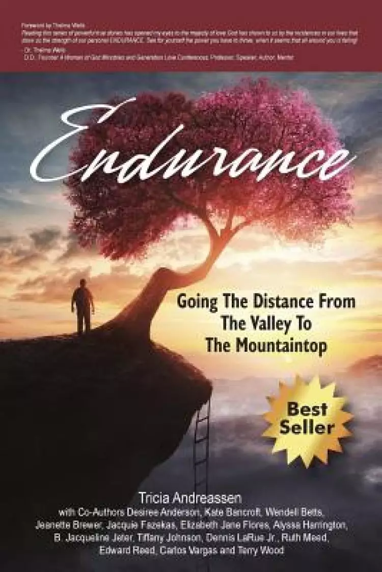Endurance: Going The Distance From The Valley To The Mountaintop