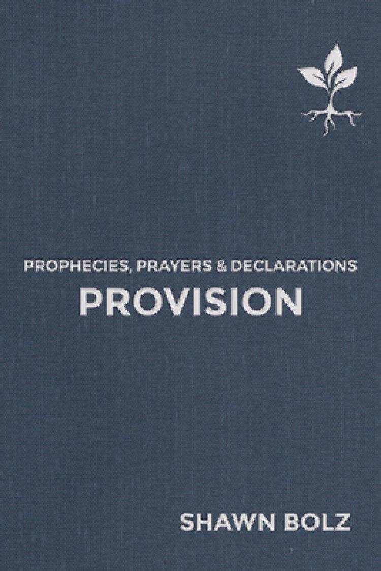Provision: Prophecies, Prayers & Declarations Volume 2