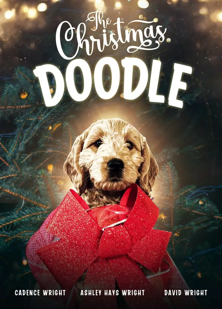DVD-The Christmas Doodle