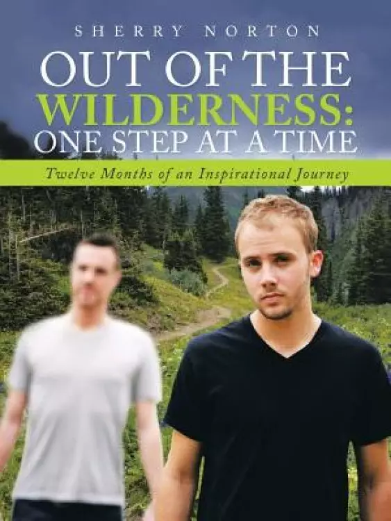Out Of The Wilderness:One Step at a Time: Twelve Months of an Inspirational Journey