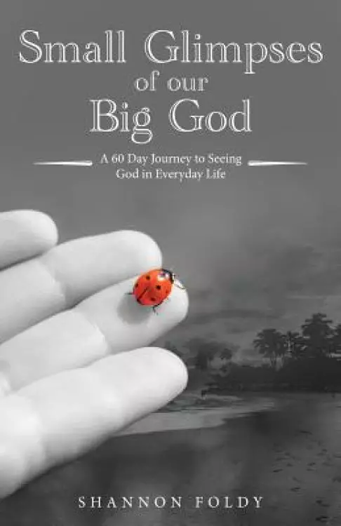 Small Glimpses of Our Big God: A 60 Day Journey to Seeing God in Everyday Life