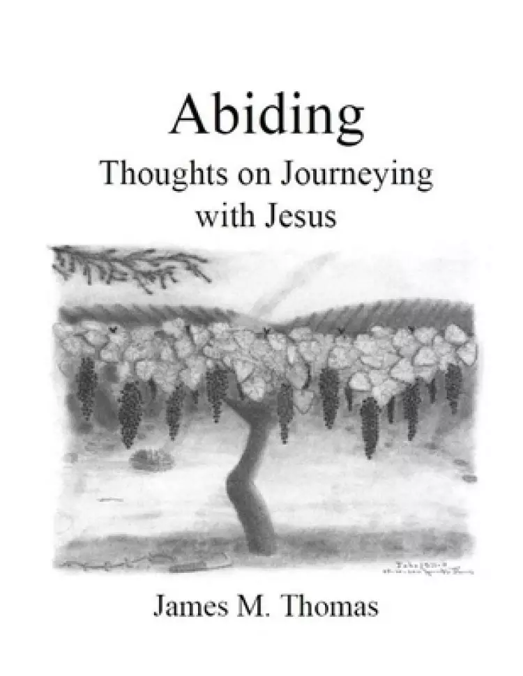 Abiding: Thoughts on Journeying with Jesus