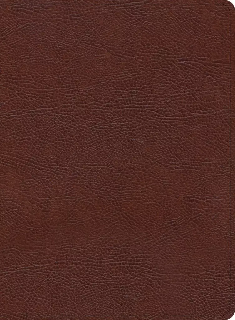 KJV Study Bible, Large Print Edition, Brown Bonded Leather