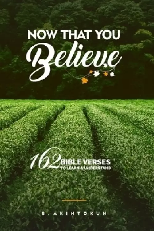 Now That You Believe: 162 Bible Verses To Learn & Understand