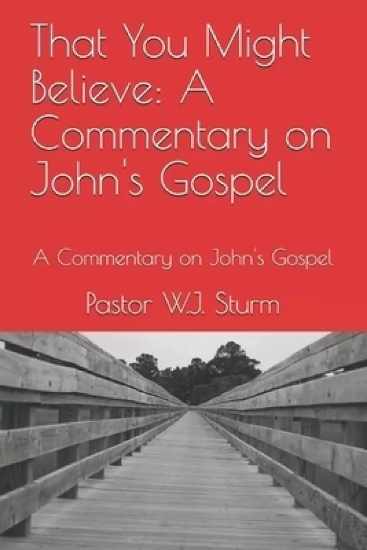 That You Might Believe, A Commentary on John's Gospel