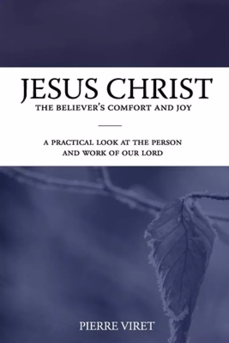 Jesus Christ the Believer's Comfort and Joy: A practical look at the person and work of our Lord