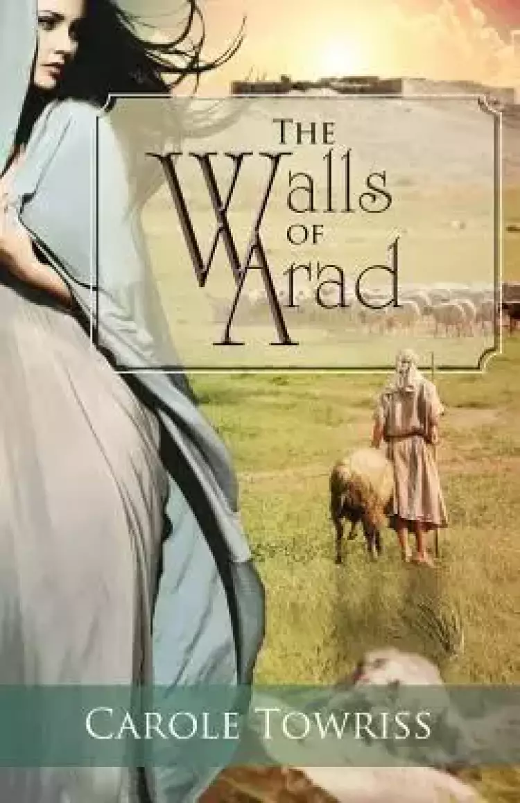 The Walls of Arad