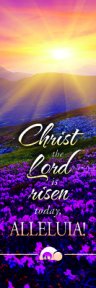 Bookmark-Christ The Lord Is Risen Today  Alleluia! (Pack Of 25)