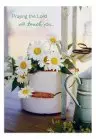 Get Well - Sunny Days - 12 Boxed Cards