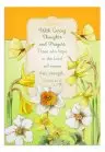 Nature's Blessing - Get Well - 12 Boxed Cards