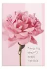 Birthday - Pretty Pinks - 12 Boxed Cards