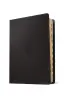NLT Courage For Life Study Bible for Men (LeatherLike, Onyx Lion, Indexed, Filament Enabled)