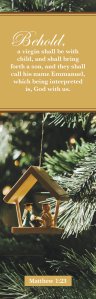 Christmas Bookmark: Behold (Package of 25)