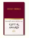 Bible Translation Bundle