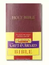 Bible Translation Bundle