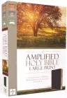 Amplified Large Print Holy Bible: Burgundy, Bonded Leather,