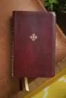 NIV, Thompson Chain-Reference Bible, Handy Size, Leathersoft, Burgundy, Red Letter, Comfort Print