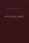 NIV, Holy Bible, Compact, Paperback, Burgundy, Comfort Print