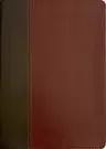 KJV Life Application Study Bible, Third Edition (LeatherLike, Brown/Mahogany, Red Letter)