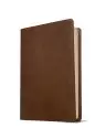 NLT Thinline Reference Bible, Filament-Enabled Edition (LeatherLike, Rustic Brown, Red Letter)