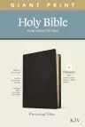 KJV Personal Size Giant Print Bible, Filament-Enabled Edition (Genuine Leather, Black, Red Letter)