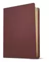 KJV Personal Size Giant Print Bible, Filament-Enabled Edition (Genuine Leather, Burgundy, Red Letter)