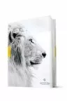NLT Courage For Life Study Bible for Men (Hardcover, Filament Enabled)
