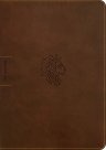 NLT Courage For Life Study Bible for Men
