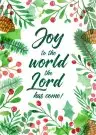 Joy to the World, the Lord has Come