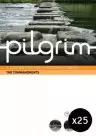 Pilgrim: The Commandments Pack of 25