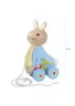 Peter Rabbit™ Pull Along (FSC®)