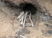Oxford tests link bones with the Baptist