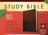 Study Bibles - What Are They For?