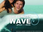 The Perfect Wave DVD Review