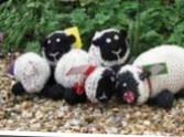 A Woolly Tale