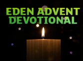 Advent Reflection 9th December - Amy Boucher Pye