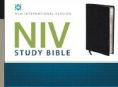 New NIV Study Bible - and why you'll need three