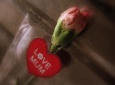 Mothering Sunday - all the things you didn't know