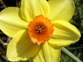 St David's Day - the surprising power of preaching