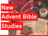 New Advent Bible Study Guides