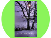 7 Christian Books by Tom Wright
