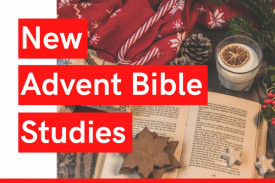 New Advent Study Guides
