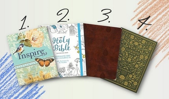 Journaling Bibles 1-4