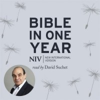 NIV Audio Bible