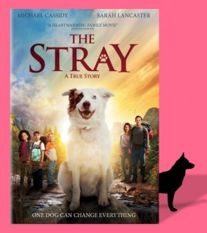 The Stray - Review