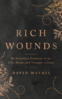 Rich Wounds by David Matthis