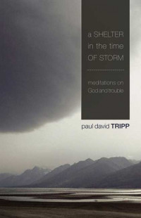 Book cover of A Shelter in the Time of Storm 