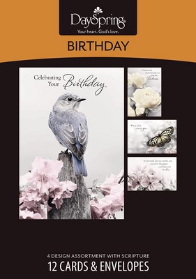 Birthday - A Touch of Color - 12 Boxed Cards KJV Birthday - A Touch of Color - 12 Boxed Cards KJV