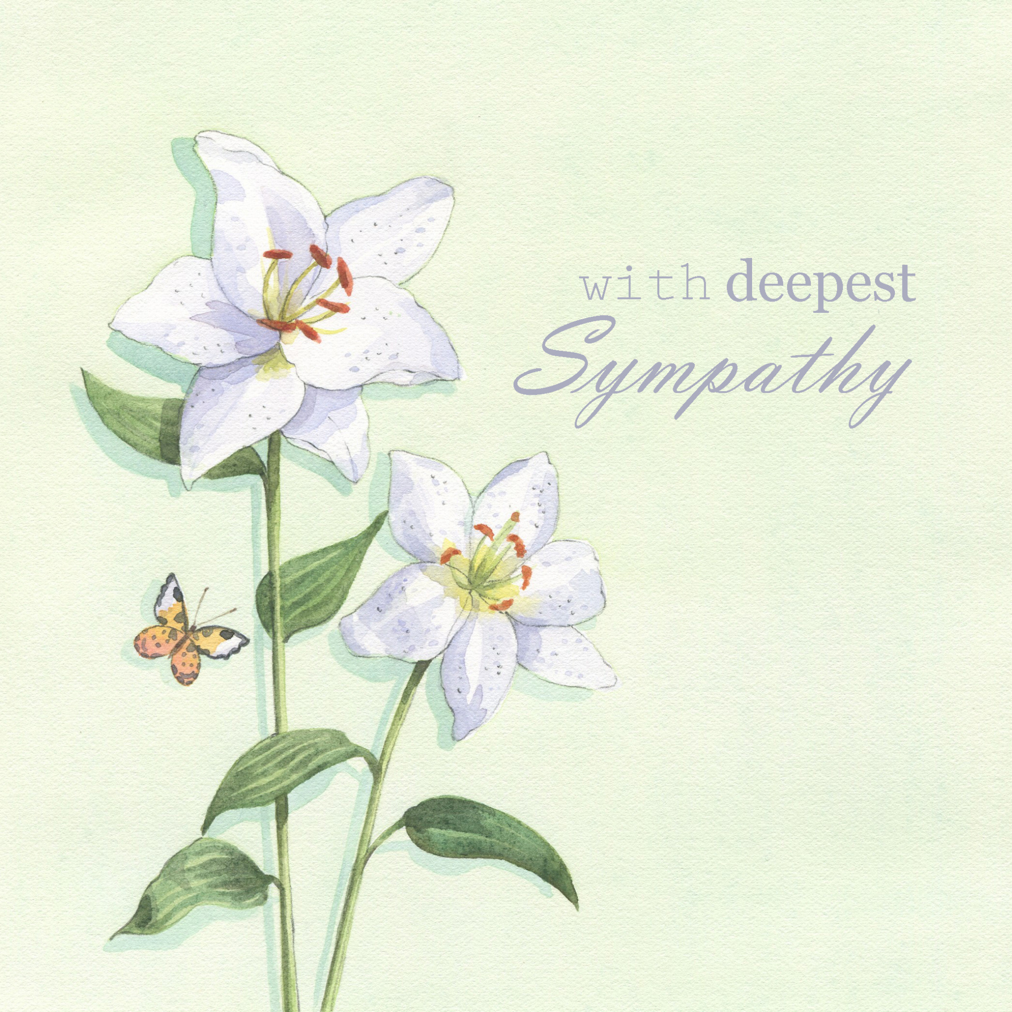With Deepest Sympathy Single Card 0604565252685 | Fast Delivery at Eden
